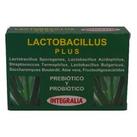 LACTOBACILLUS PLUS 60 CAPSULAS